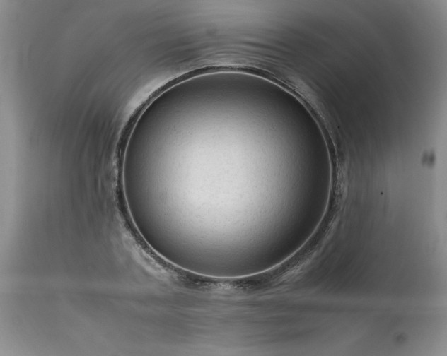X0000111810787200907301232