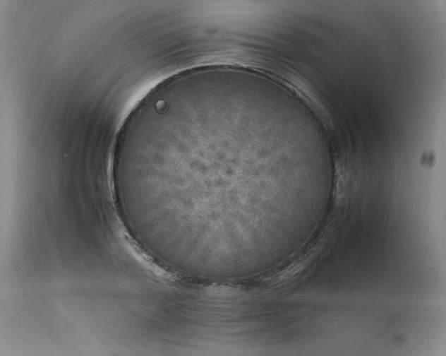 X0000111810788200907301232