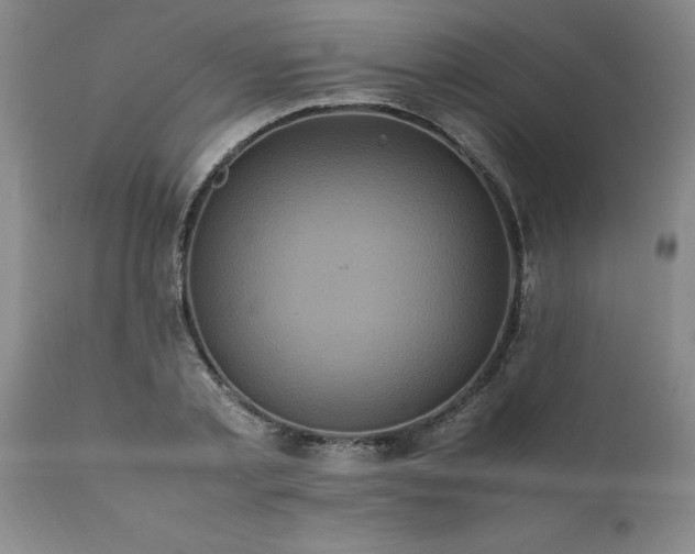 X0000111810789200907301232