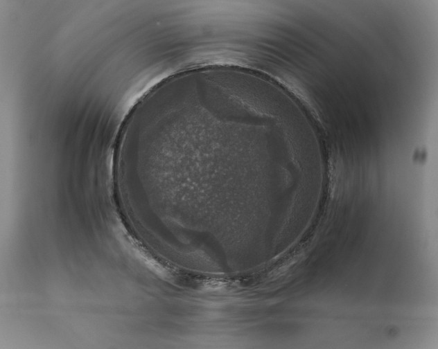 X0000111810790200907301232
