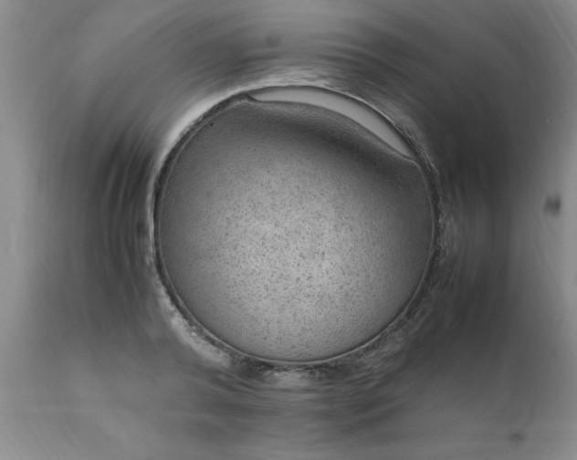 X0000111810792200907301232
