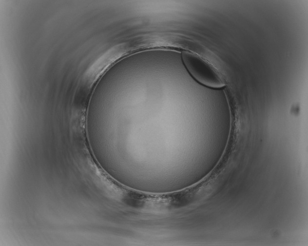 X0000111810793200907301232