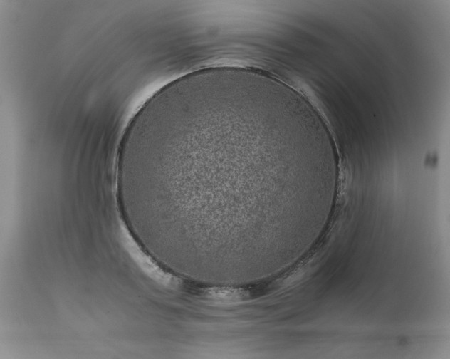 X0000111810795200907301232