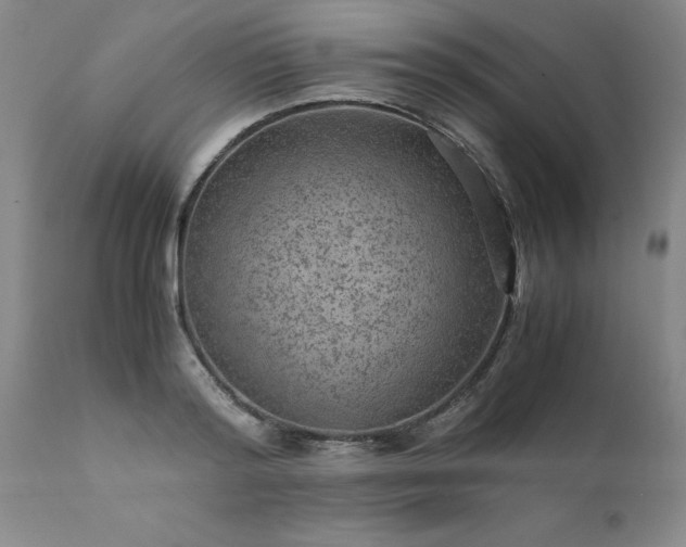 X0000111810796200907301232