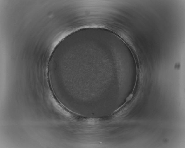 X0000111810797200907301232