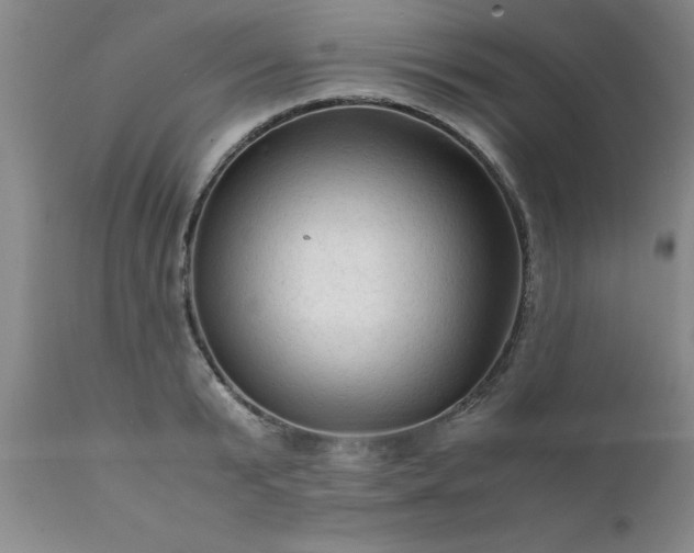 X0000111810799200907301232