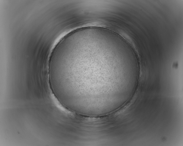 X0000111810800200907301232