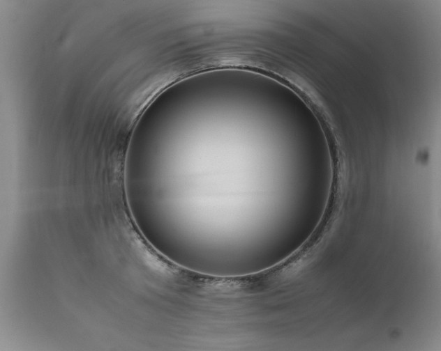 X0000111810801200907301232