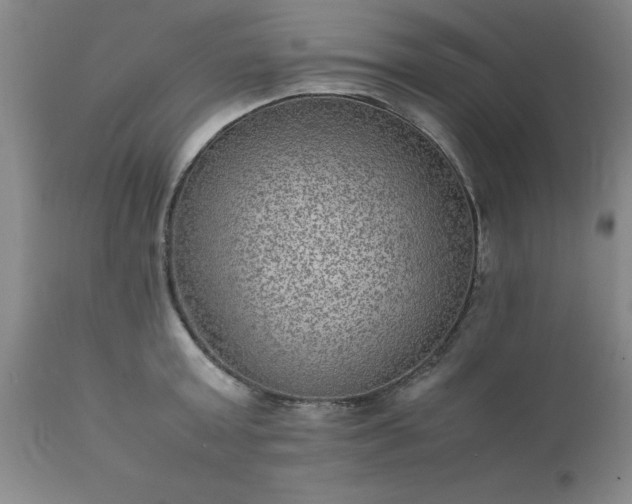 X0000111810803200907301232