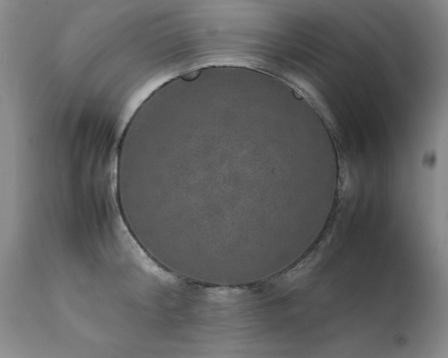 X0000111810804200907301232