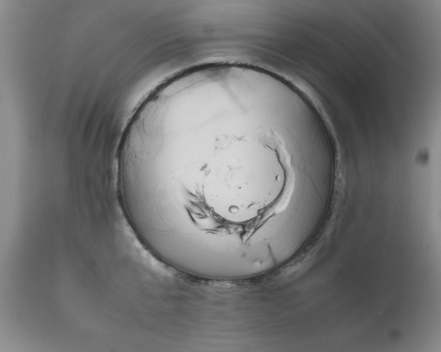 X0000111810807200907301232