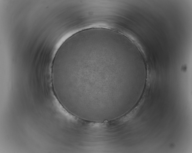 X0000111810808200907301232