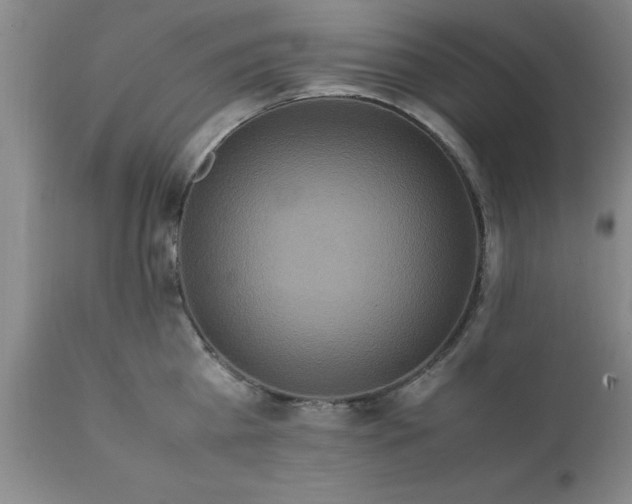 X0000111810809200907301232