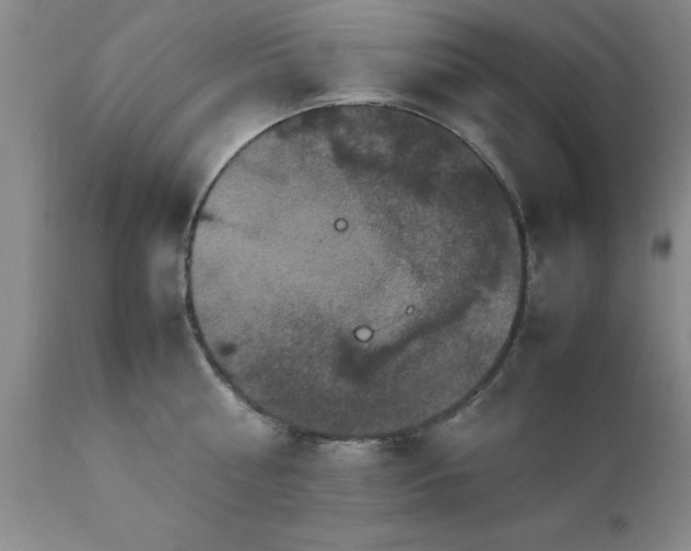 X0000111810810200907301232