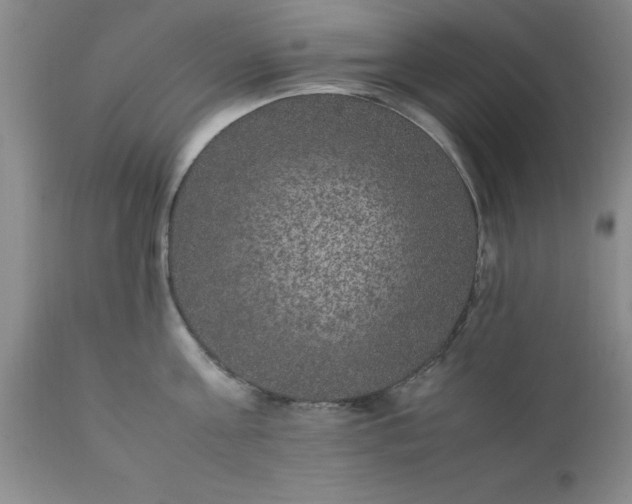 X0000111810811200907301231