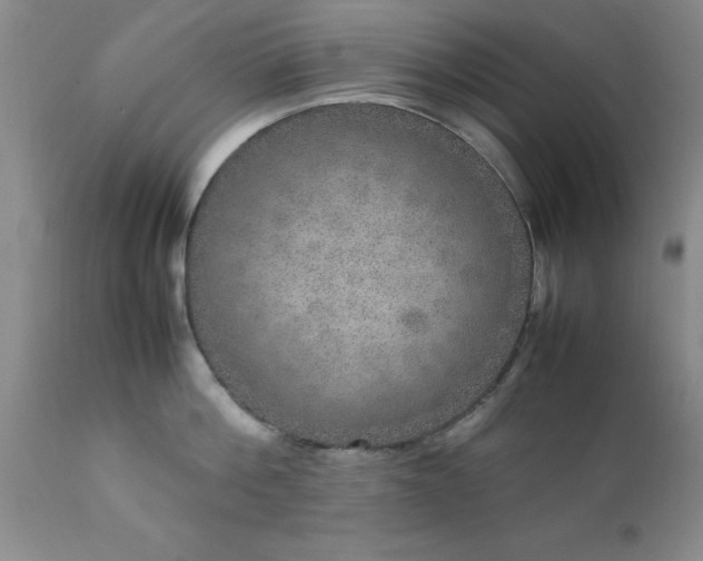 X0000111810812200907301231