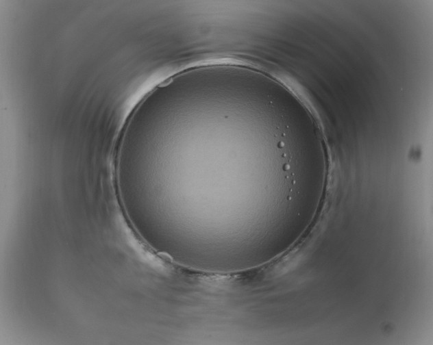 X0000111810813200907301231