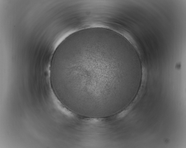 X0000111810814200907301231
