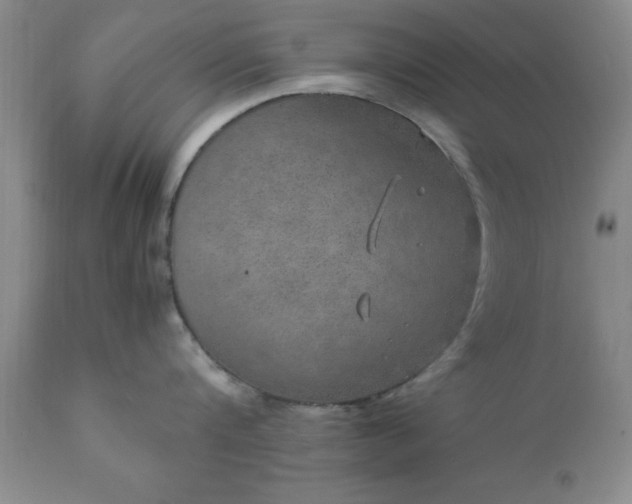 X0000111810816200907301231