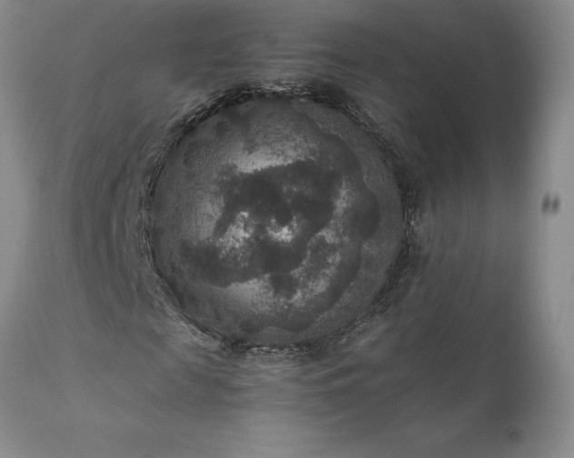 X0000111810817200907301231