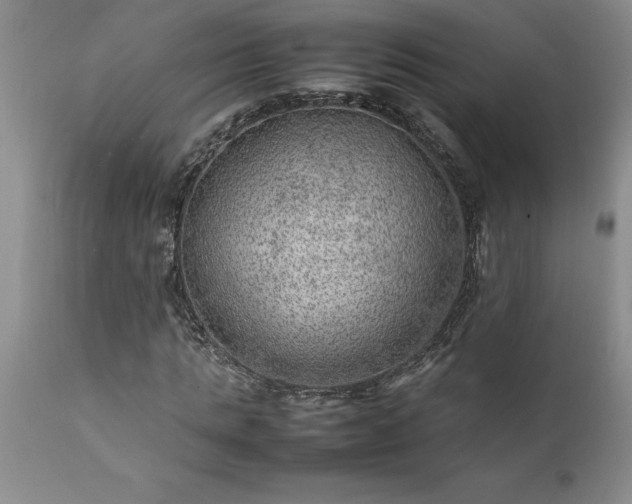 X0000111810821200907301231