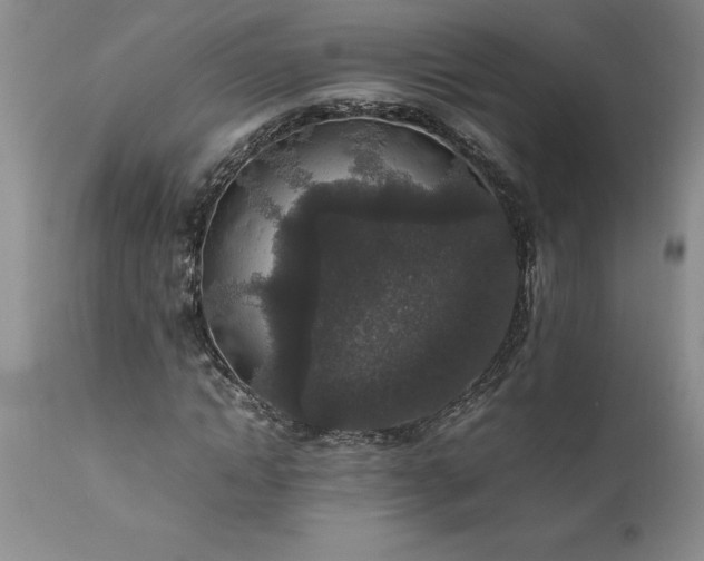 X0000111810822200907301231