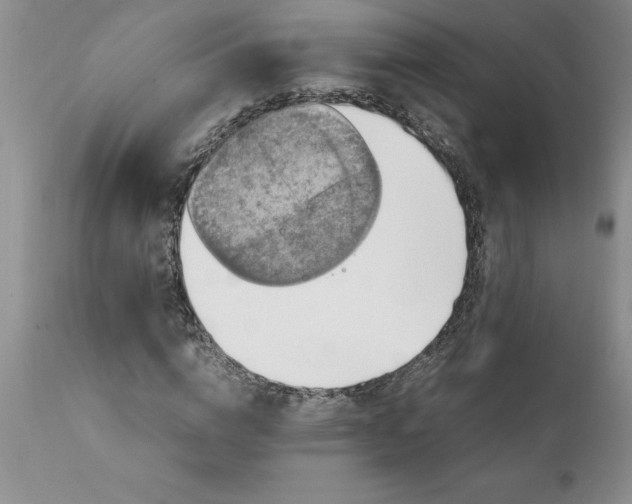 X0000111810824200907301231