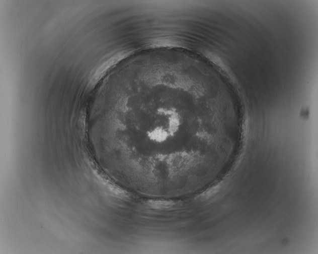 X0000111810825200907301231