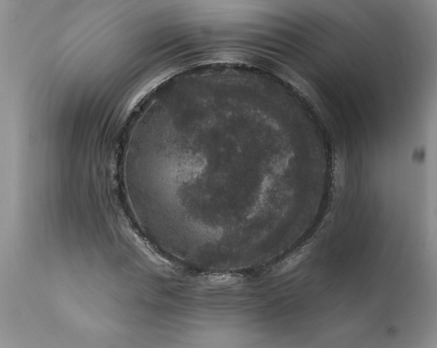 X0000111810826200907301231