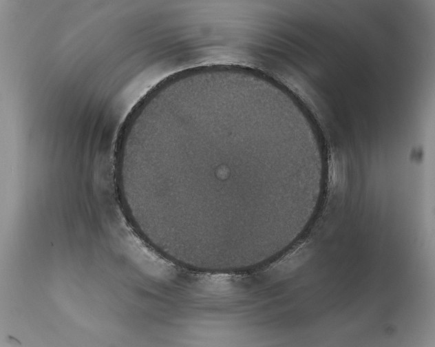 X0000111810828200907301231