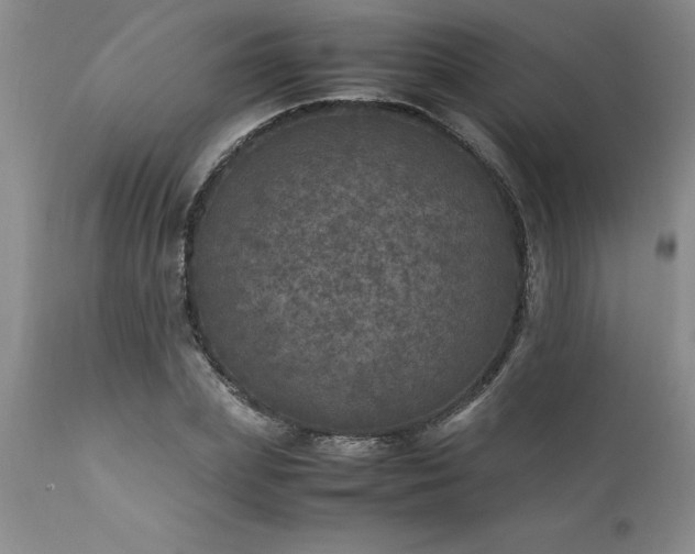 X0000111810831200907301231