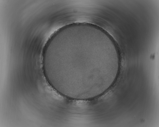 X0000111810832200907301231