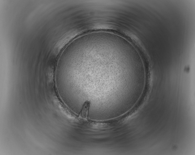 X0000111810833200907301231