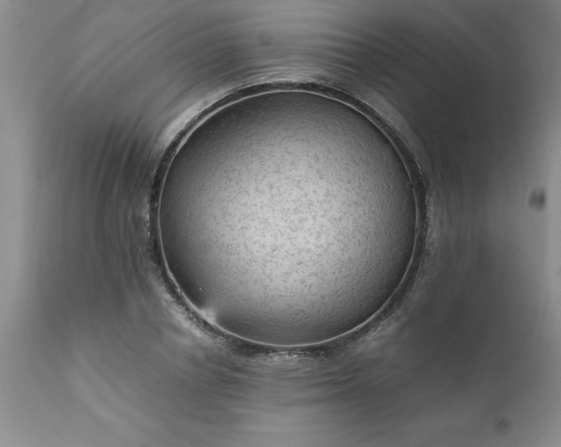 X0000111810834200907301231