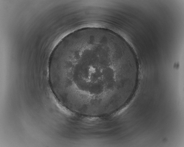 X0000111810837200907301231