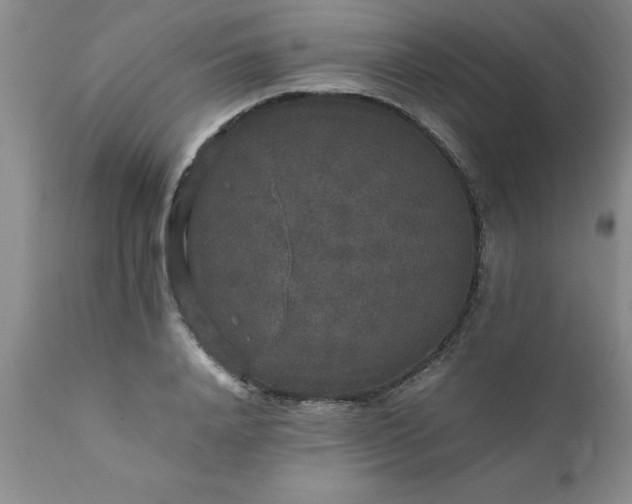 X0000111810840200907301231
