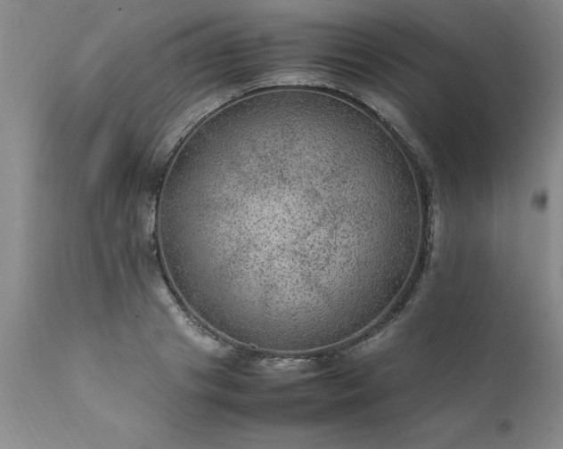X0000111810841200907301231