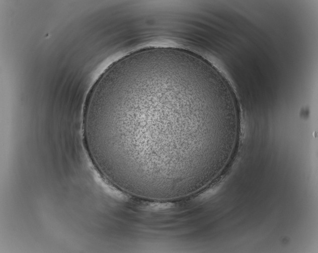 X0000111810845200907301231