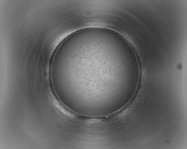 X0000111810846200907301231