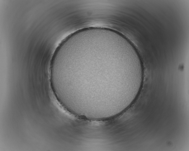 X0000111810848200907301231