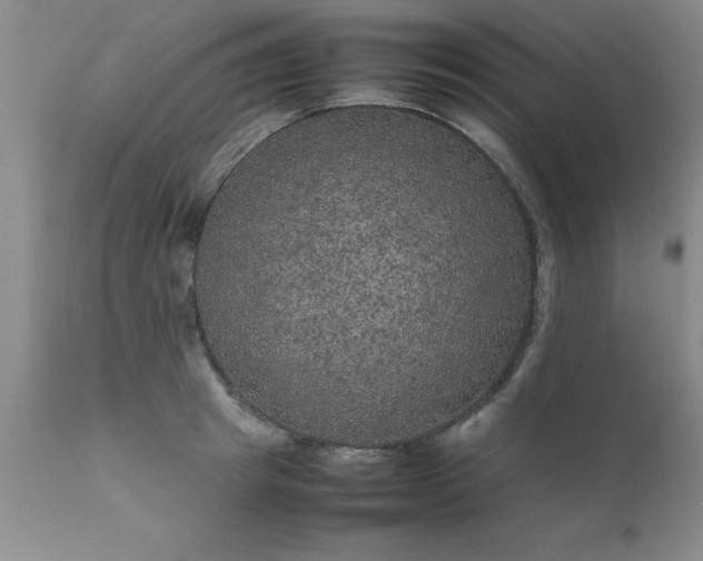 X0000111810849200907301231