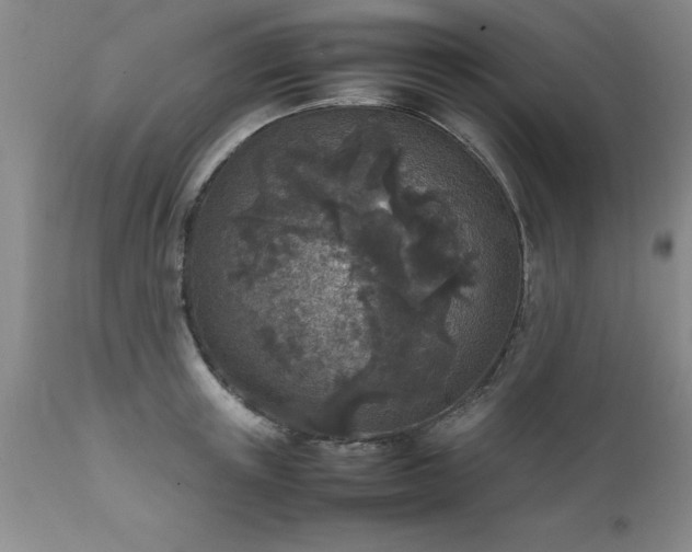 X0000111810851200907301231