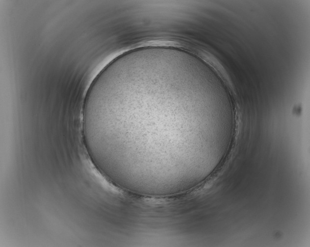 X0000111810852200907301231
