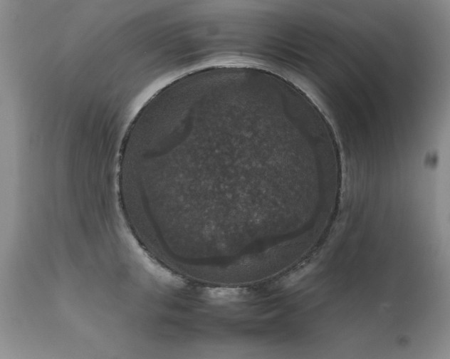 X0000111810853200907301231