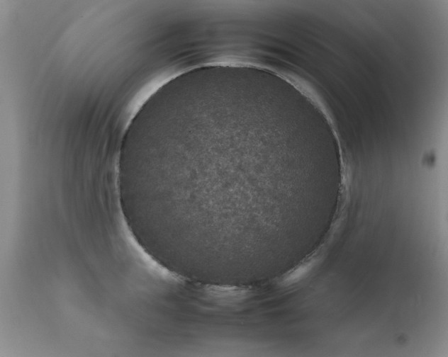 X0000111810855200907301231