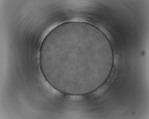 X0000111810856200907301231