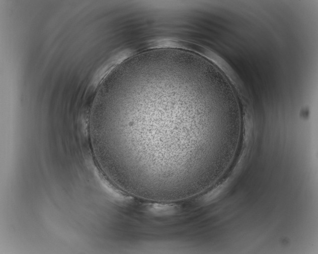 X0000111810857200907301231