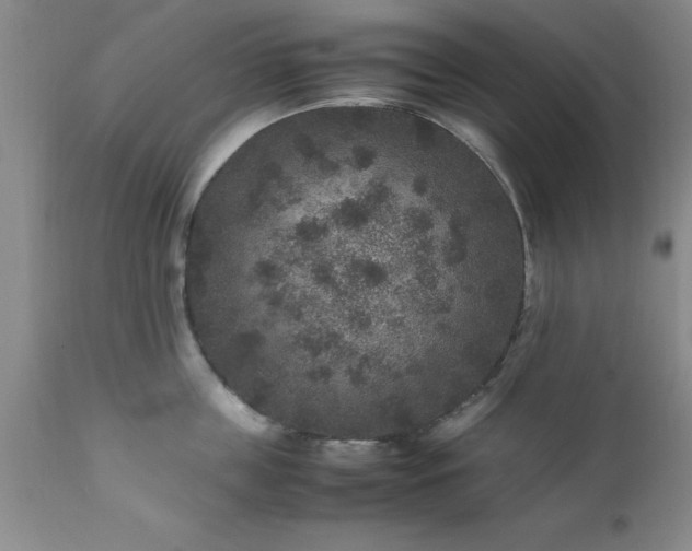 X0000111810859200907301231