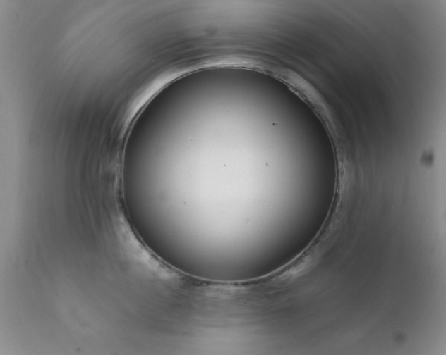 X0000111810860200907301231