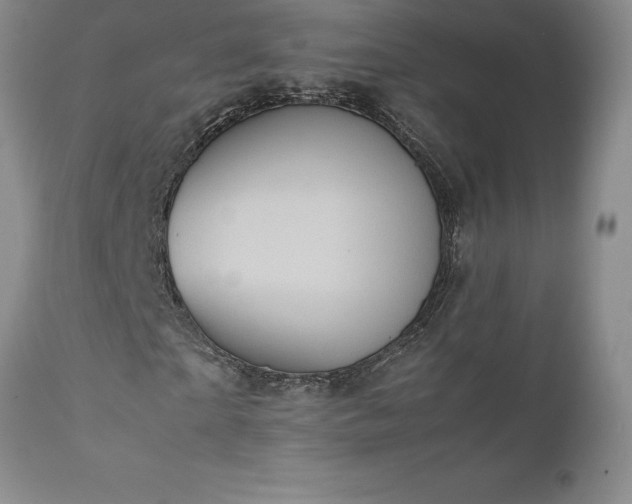 X0000111810865200907301231